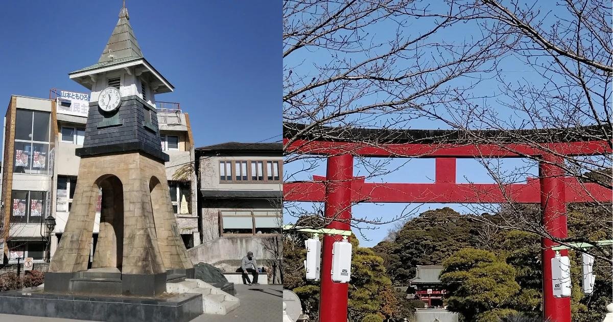 わたしの初詣は鶴岡八幡宮